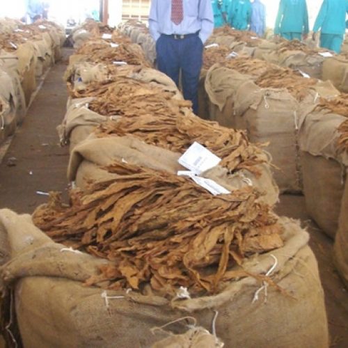 TOBACCO-BALES